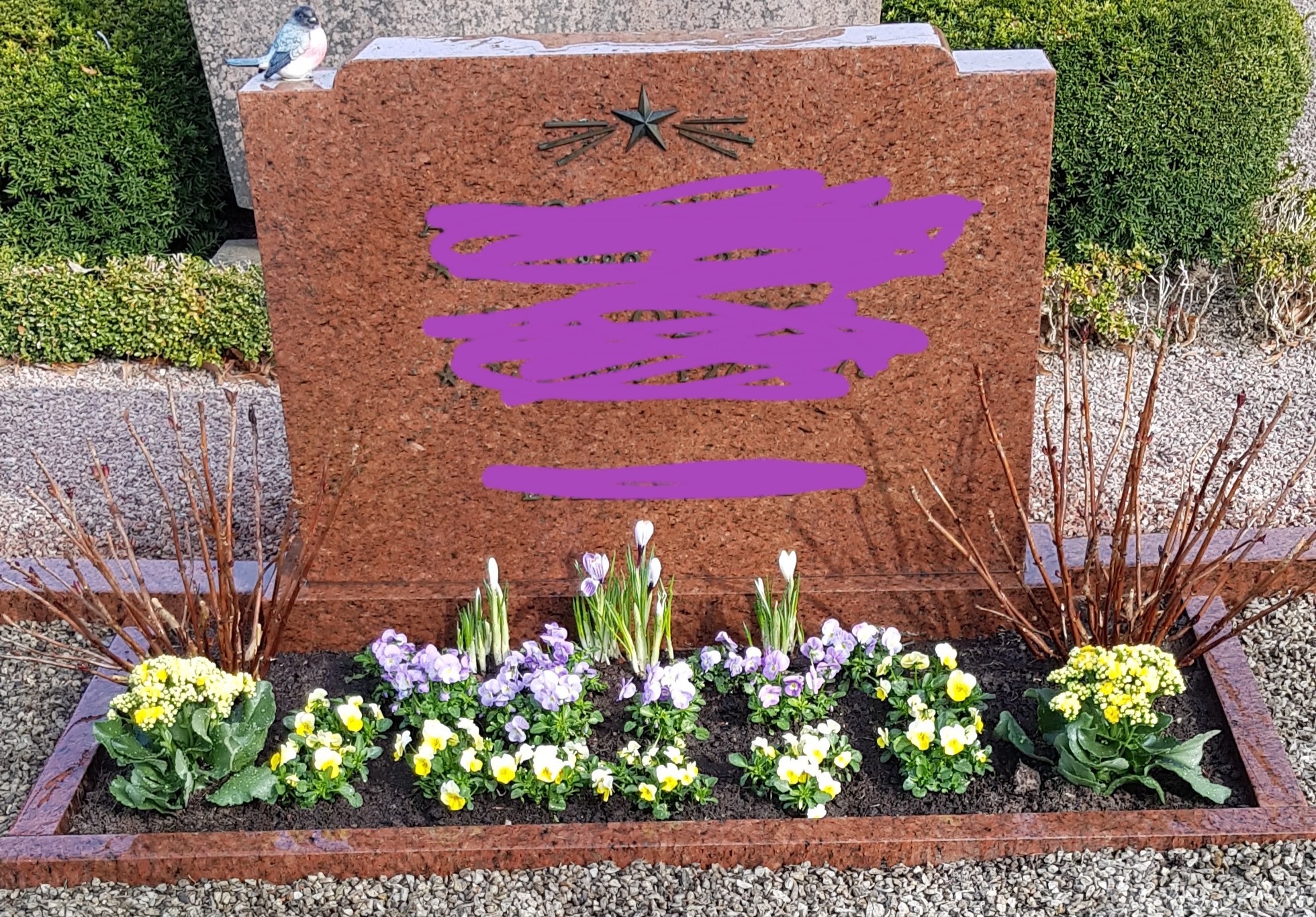 Perenn lättskötta blommor till grav Byggahus.se