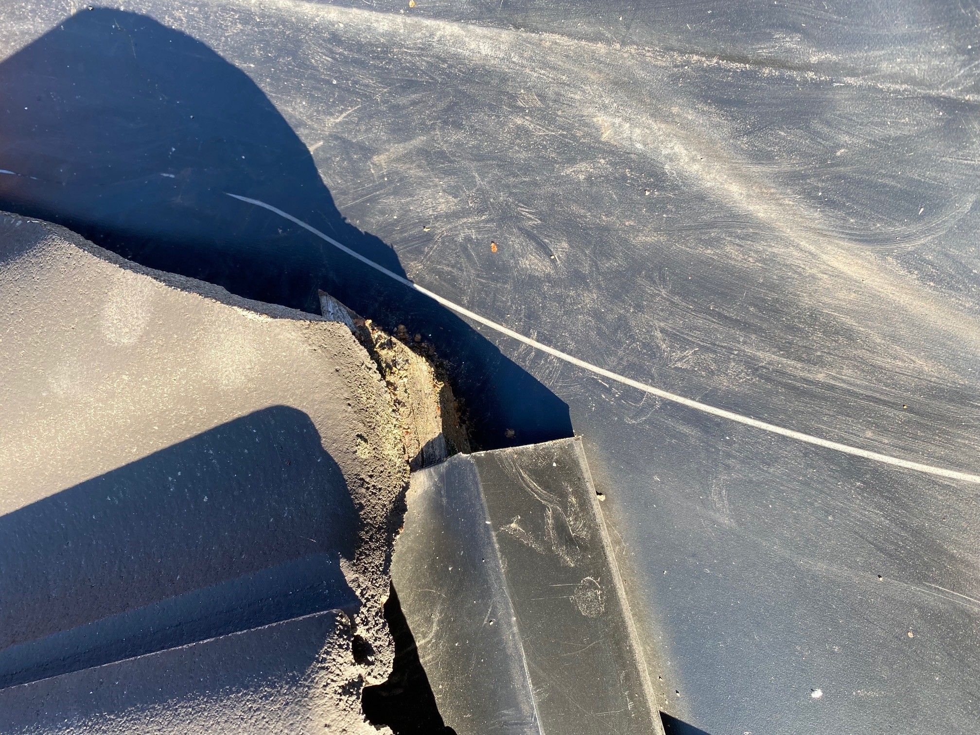 Lipetsk porno buvilar Haqiqiy yigitlar Masha va Kolya seks porno