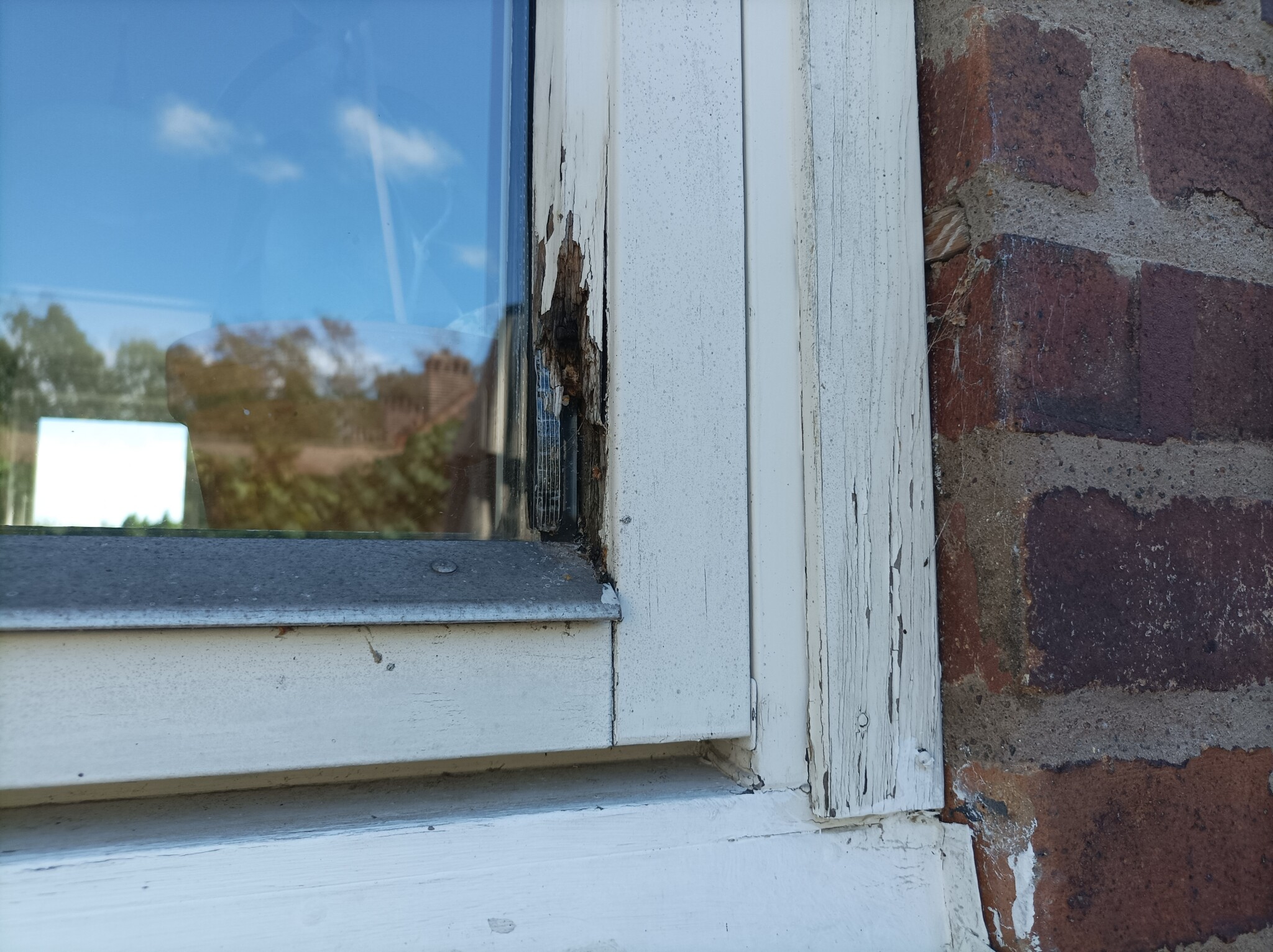 Nya fönster gammal metod | Byggahus.se