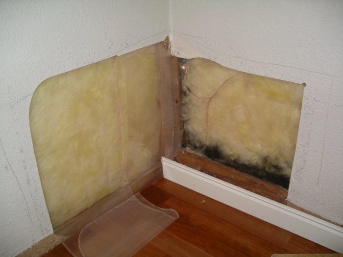 mogel14.jpg