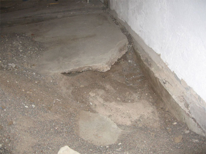 5_003.jpg