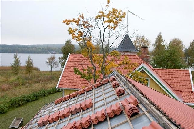 CRW_6092 (Medium).jpg