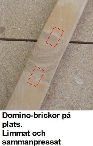 bild 4.jpg