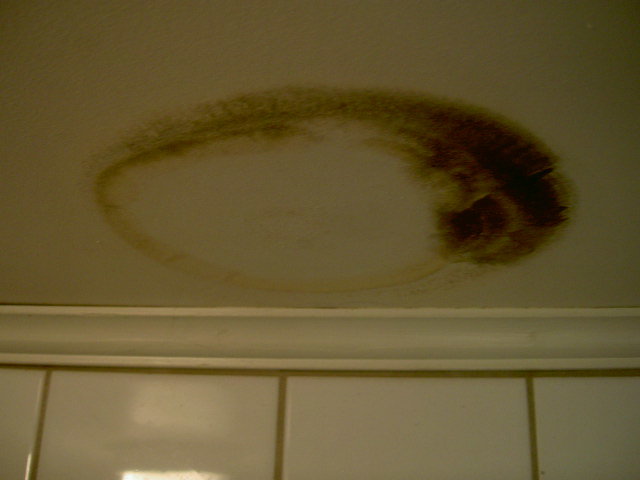 PICT3530.JPG