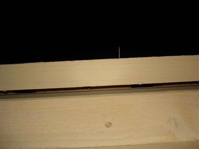 DSC02440.jpg