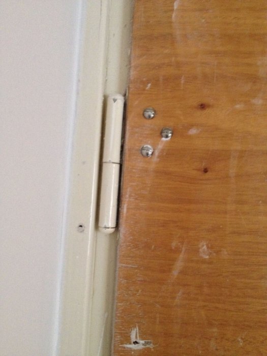 photo 22.jpg