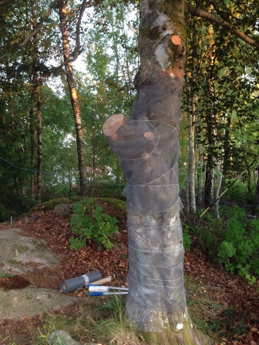 ImageUploadedByByggahus.se1403811893.823890.jpg