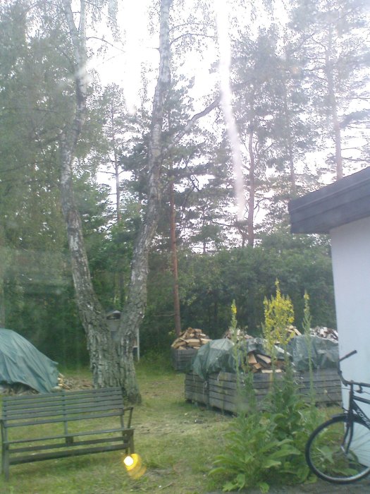 DSC00420.JPG