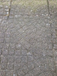 bild-2.JPG