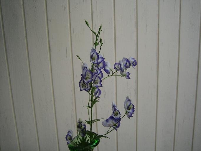 IMG_0092.JPG