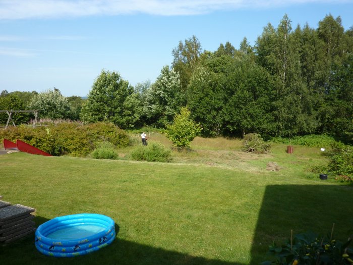 P1050248.jpg