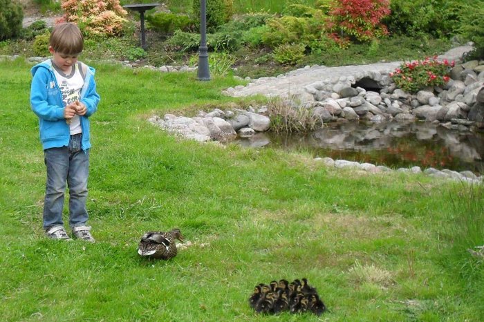 Alexander with ducks SDC10019 c cr cr.jpg