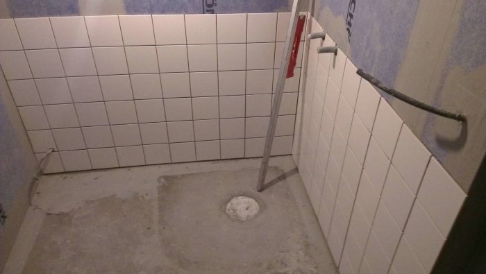se hornet till vanster.jpg