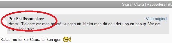 Citera.jpg
