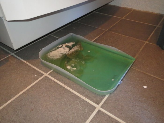 Bild 3.jpg