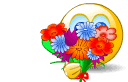 11736.gif