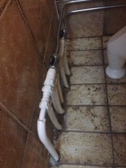 IMG_0596.jpg