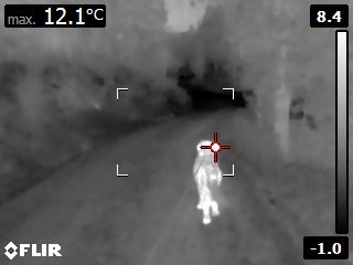 FLIR1649.jpg