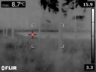 FLIR1755.jpg