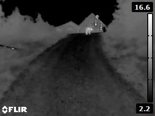 FLIR1803.jpg