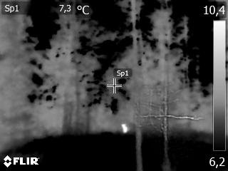 FLIR2013.jpg