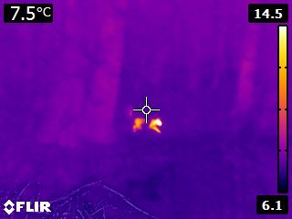 FLIR2023.jpg