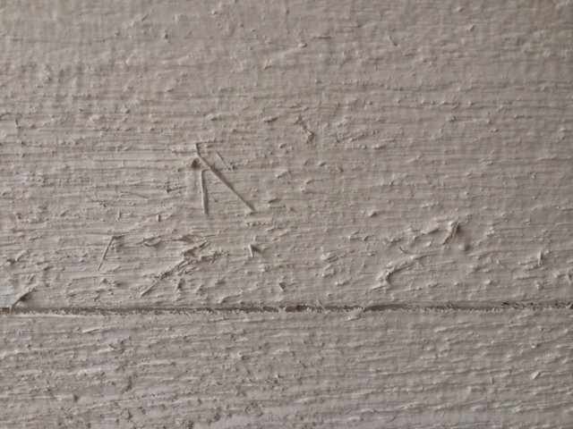 bild 2 (3).JPG
