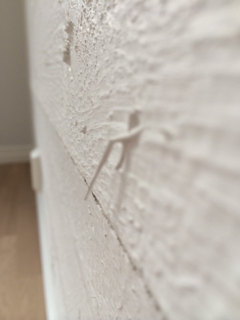 bild 4 (8).JPG