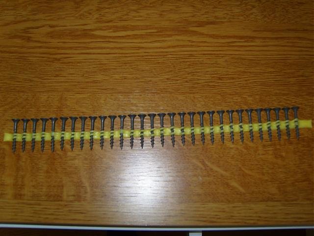 S1030505.jpg