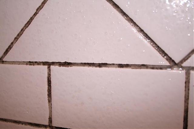 kakel 1.jpg