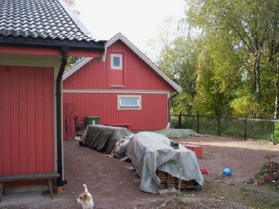 6593-bakgård.jpg