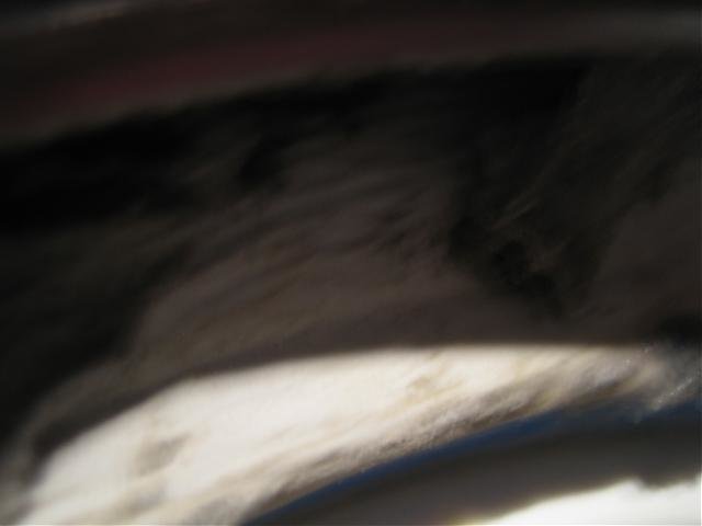 brunt 005.jpg