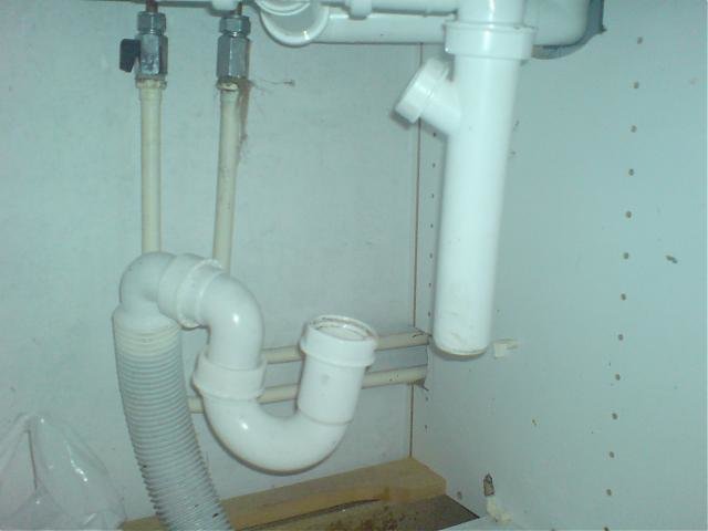 DSC00288.jpg