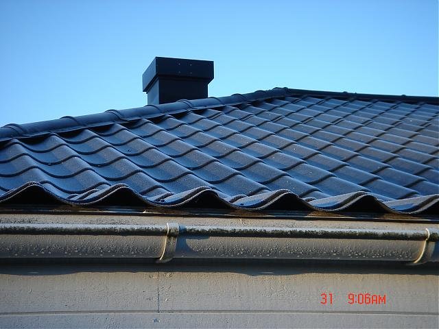 DSC03640.jpg