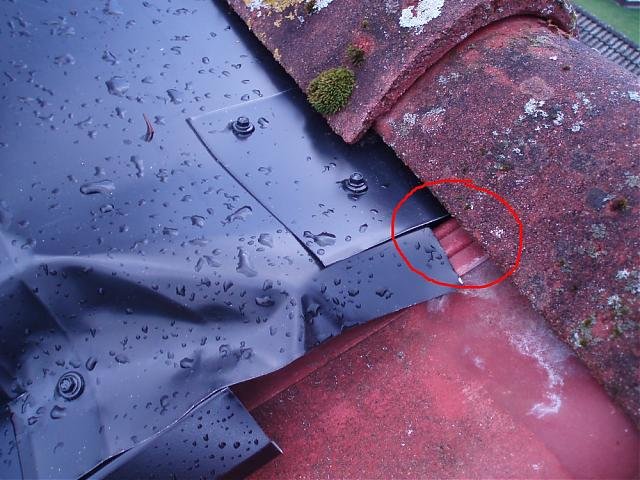 mindre glipa bild 1, 071109.jpg