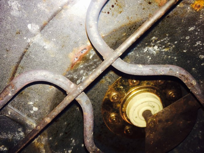 FullSizeRender 3.jpg