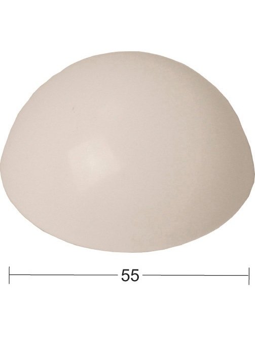 500336888_1.jpg