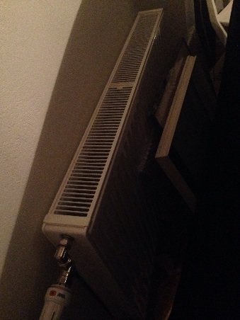 image.jpg