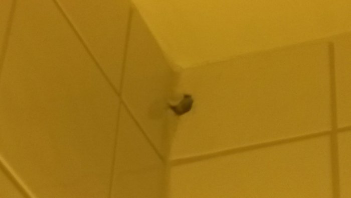20150202_211139.jpg