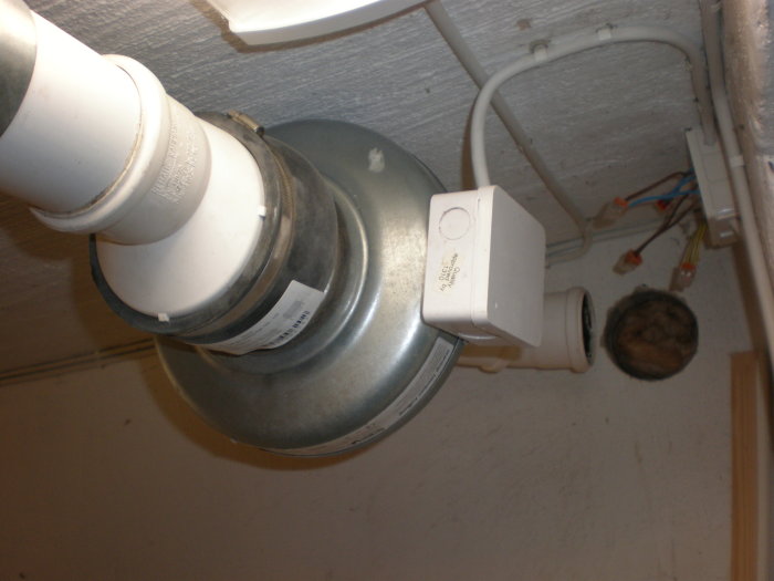 P2080302.JPG
