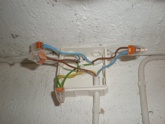 P2080300.JPG