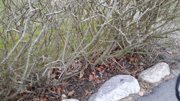 20150219_165838.jpg