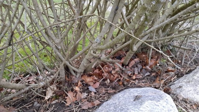 20150219_165858 (640x360).jpg