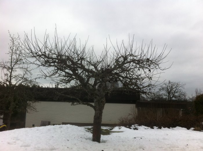 iPhonebilder 001.jpg