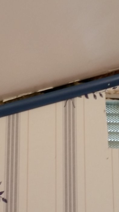 20150314_114432.jpg