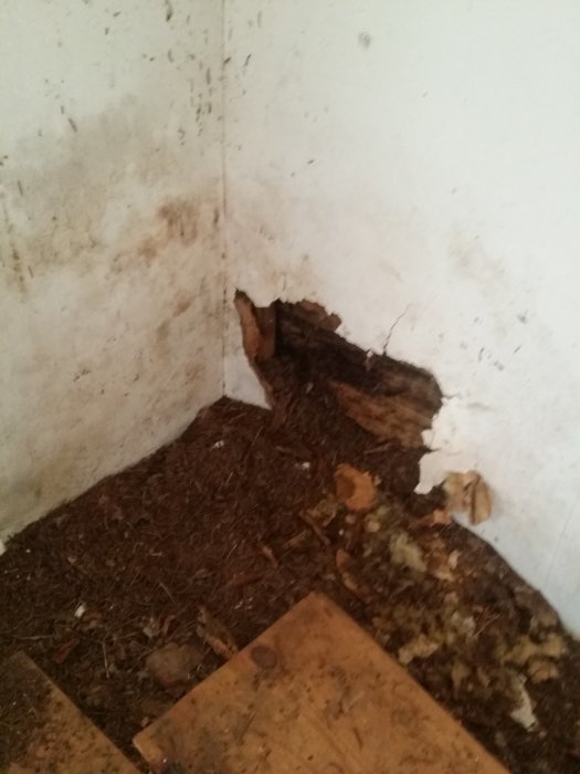 20150319_141829.jpg