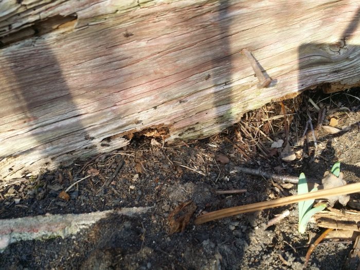 20150319_141738.jpg
