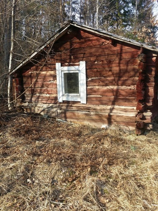 20150319_141720.jpg