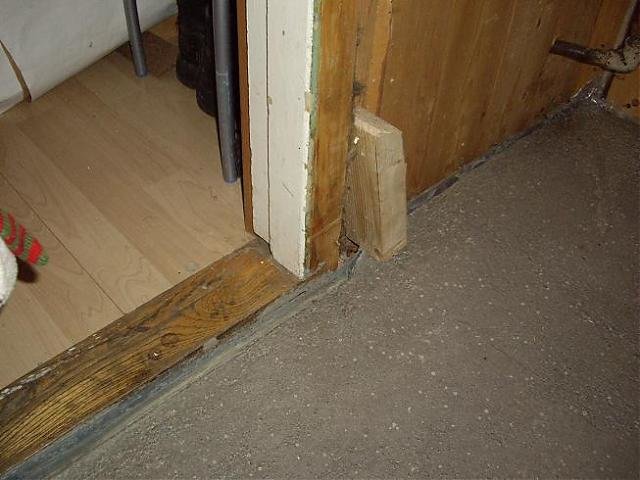 IMGP1227.jpg