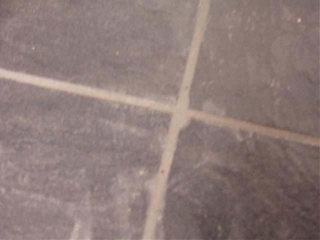 PC100016.jpg